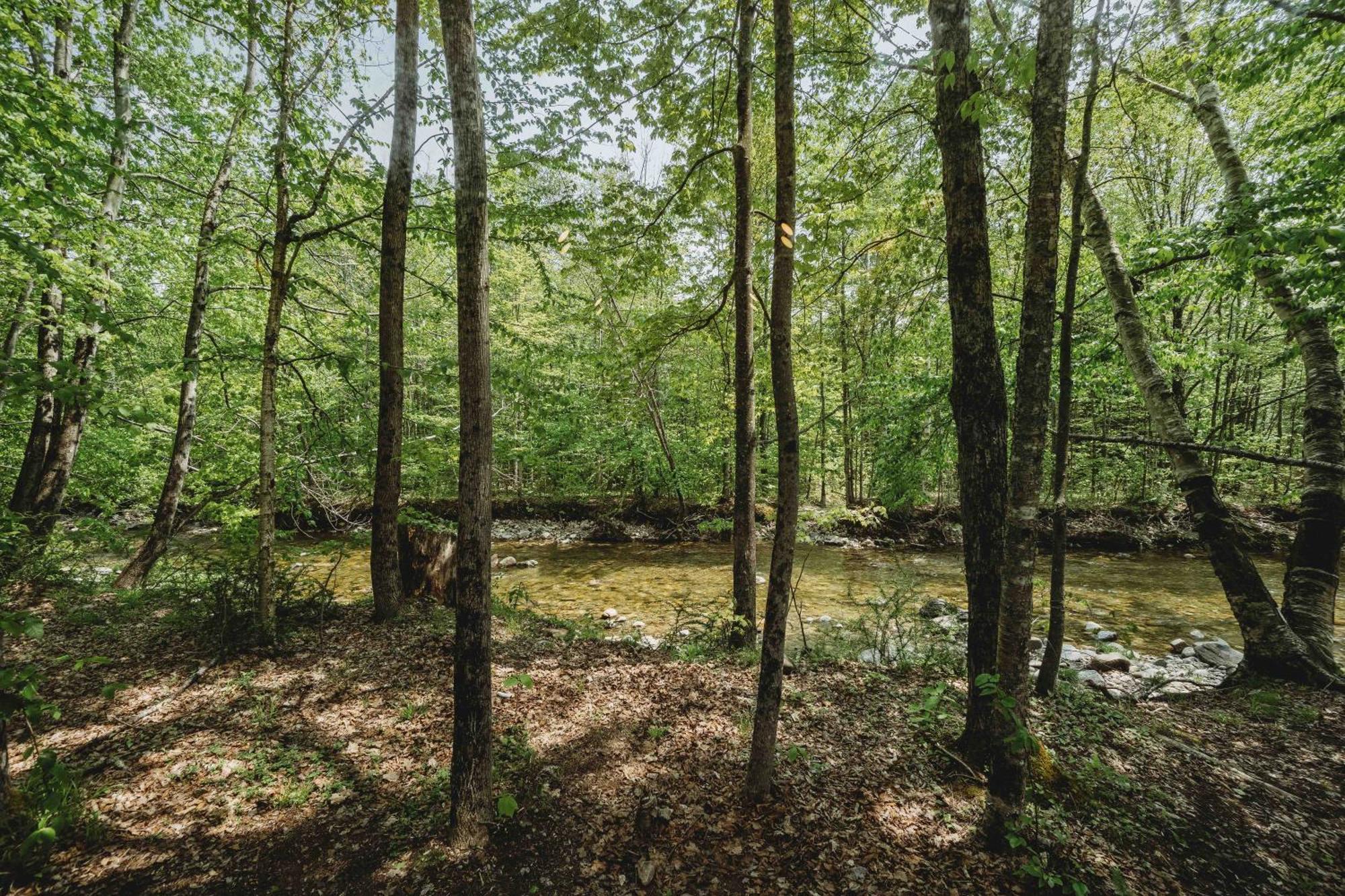 Lumen Nature Retreat وودستوك الغرفة الصورة